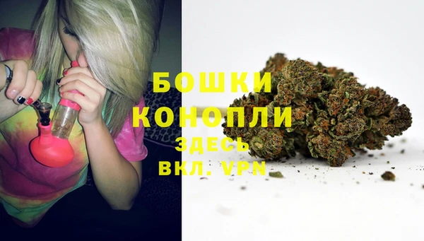ПСИЛОЦИБИНОВЫЕ ГРИБЫ Россошь