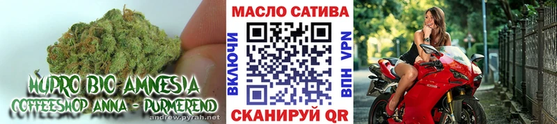 Купить где  Кудрово  ТГК гашишное масло 