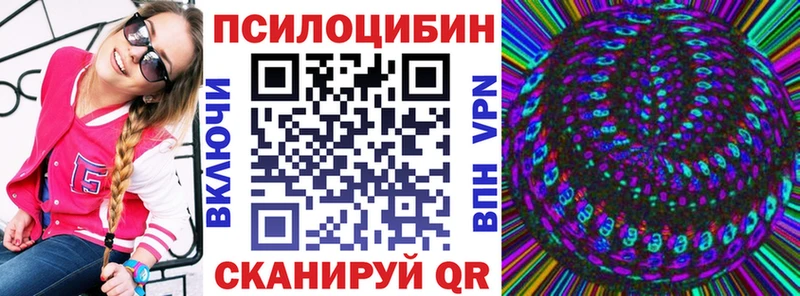 Купить где Кудрово Галлюциногенные грибы прущие грибы